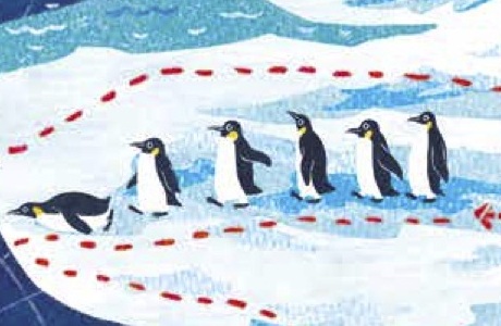 Зоологические путешествия: отрывок из книги Трейси Тёрнер и Гуэй Скипп «Куда идут пингвины»